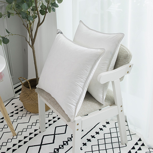 Pillow Cushion Set of 2 Feather Filling Custom Size And Design