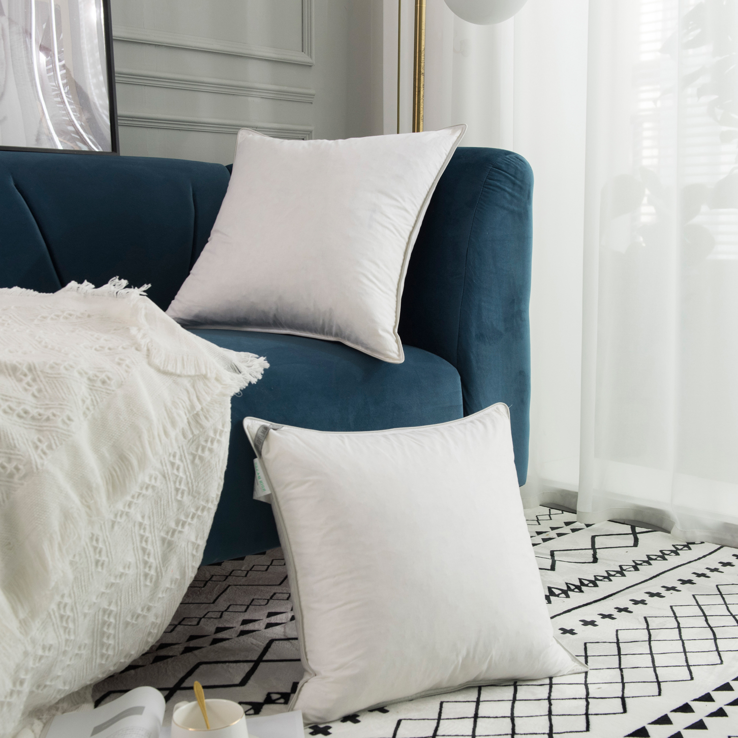 Pillow Cushion Set of 2 Feather Filling Custom Size And Design