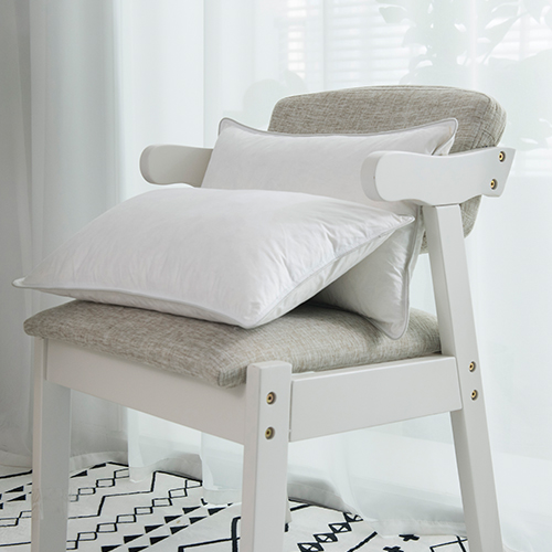 Pillow Cushion Set of 2 Feather Filling Custom Size And Design