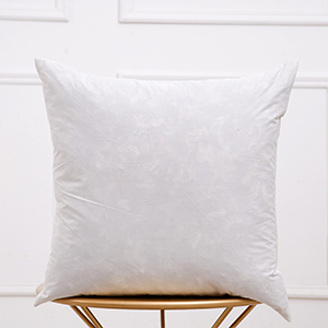 Dream High Premium Duck Down Feather Throw Pillow Inserts(Set of 2)-100% Cotton Cover, Square,Luxury Soft Plush,Premium Stuffer Down,Hand Wash