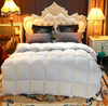 100% Cotton Thick Down Quilt Warm Bedding Featherfill Five-Star Hotel Spring/Autumn/Winter Quilt Gift