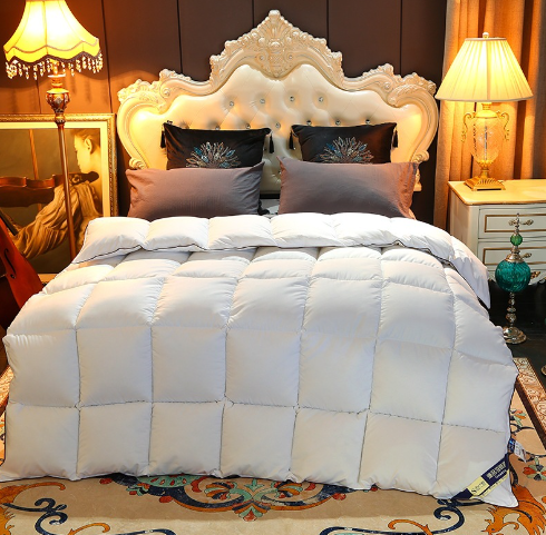 100% Cotton Thick Down Quilt Warm Bedding Featherfill Five-Star Hotel Spring/Autumn/Winter Quilt Gift