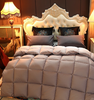 100% Cotton Thick Down Quilt Warm Bedding Featherfill Five-Star Hotel Spring/Autumn/Winter Quilt Gift