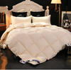 100% Cotton Thick Down Quilt Warm Bedding Featherfill Five-Star Hotel Spring/Autumn/Winter Quilt Gift
