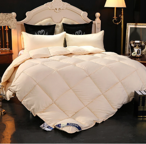 100% Cotton Thick Down Quilt Warm Bedding Featherfill Five-Star Hotel Spring/Autumn/Winter Quilt Gift
