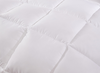 100% Cotton Thick Down Quilt Warm Bedding Featherfill Five-Star Hotel Spring/Autumn/Winter Quilt Gift