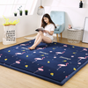 Home tatami bedroom carpet covered with thick coral velvet mat living room children's room baby crawling blanket